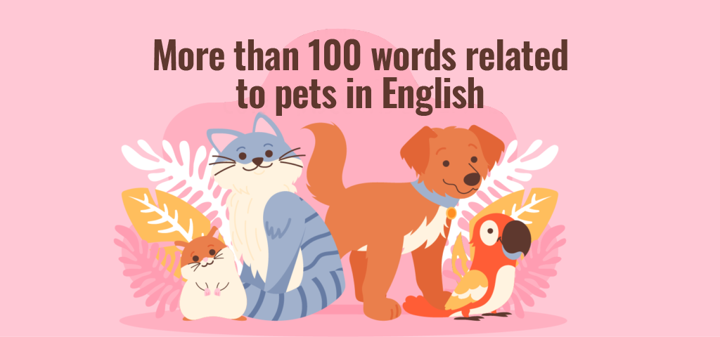 more-than-100-words-related-to-pets-in-english-elblogdeidiomas-es