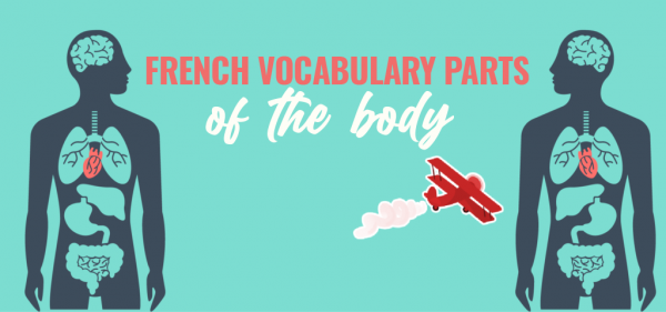 French Vocabulary Parts Of The Body 600x281 